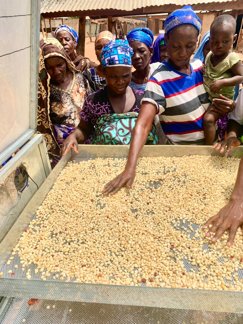 Solar drying produce in northern Ghana